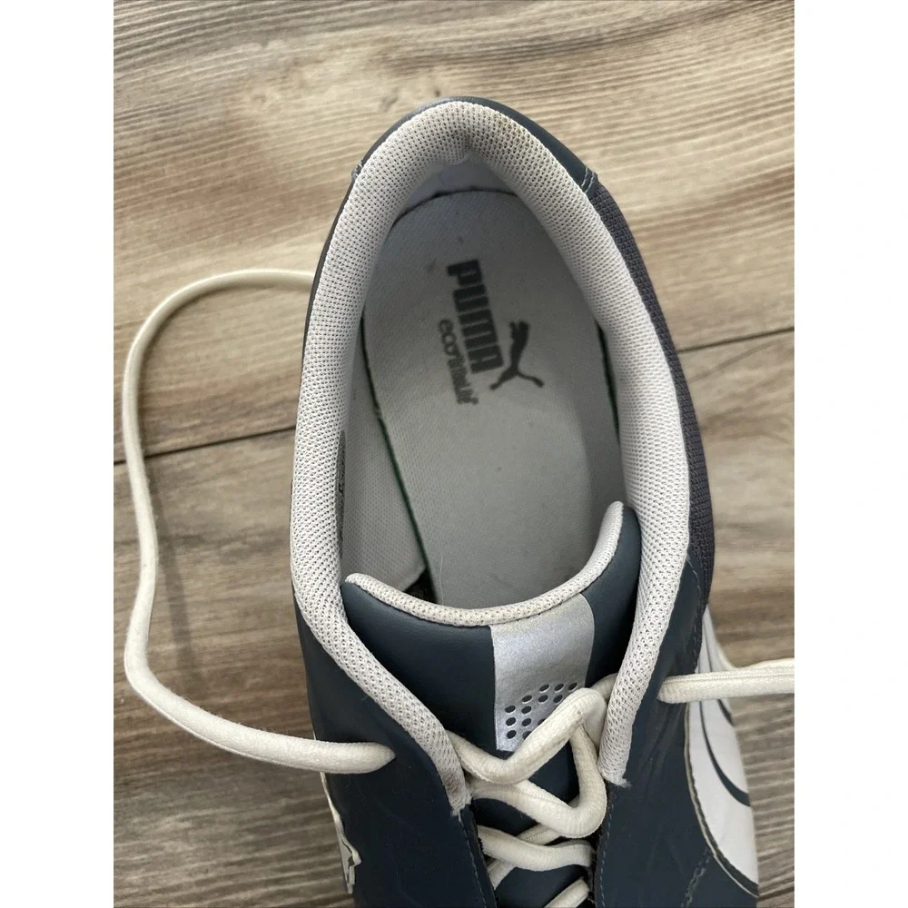 Puma biofusion men